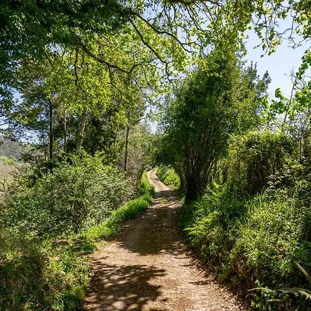 Apartamento Rural Celada 1